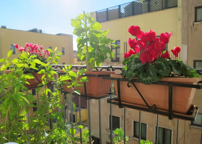 Katty Hotel *